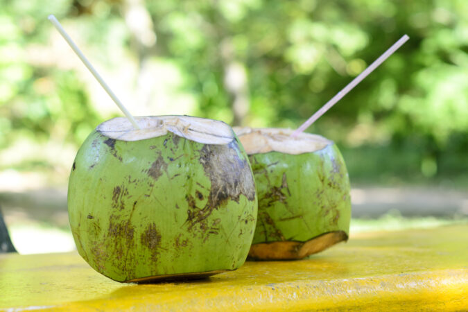 Tropical green coconuts opened for the water with straws