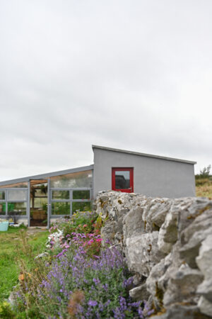 GreenHOuse DSC_45936