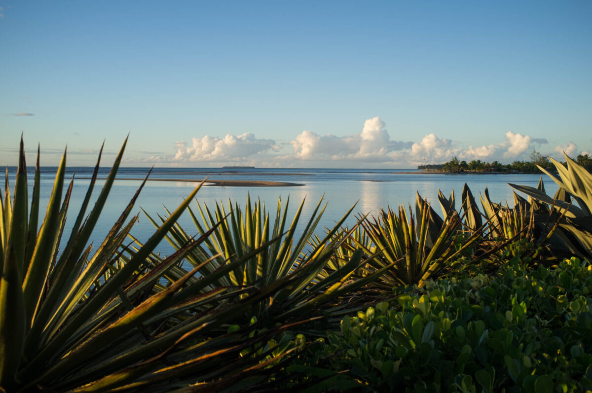 Barra Grande Beach Hideaway, Brazil · OFF GRID HIDEAWAYS