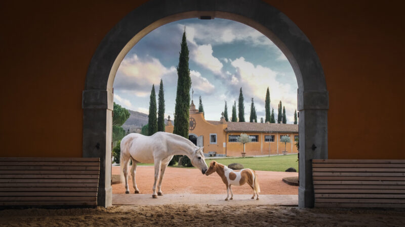 Reschio Estate - Teatro Equestre - Horses