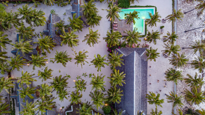 81 Palms, Rote Island, Indonesia