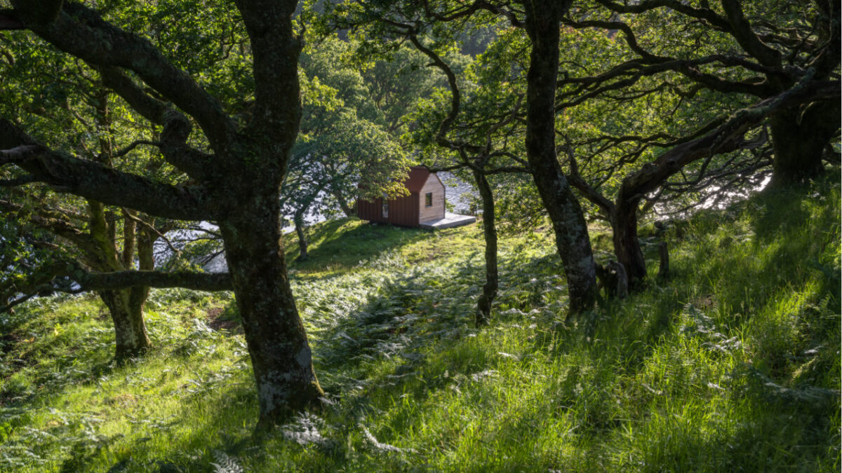 Picture of Hotel · OFF GRID HIDEAWAYS